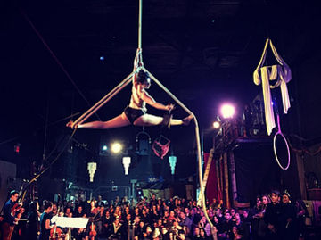 The Muse Brooklyn Circus - Circus Performer - Brooklyn, NY - Hero Main