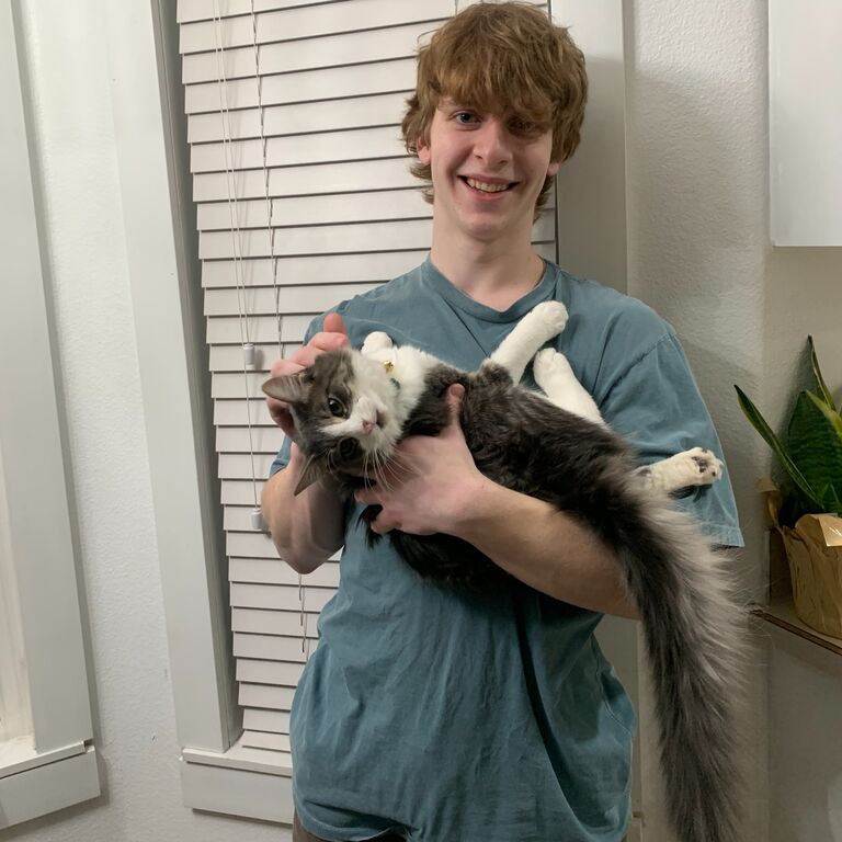 Meeting Jorian's new cat Bento 💚