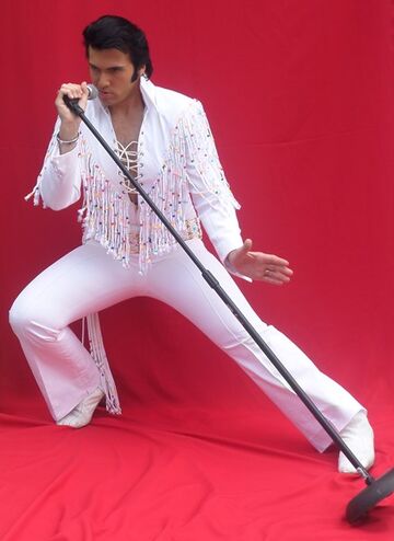 Lamar Peters "The Tribute Artist " - Elvis Impersonator - Whitestone, NY - Hero Main
