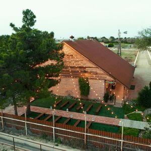 Gallery Photo 11