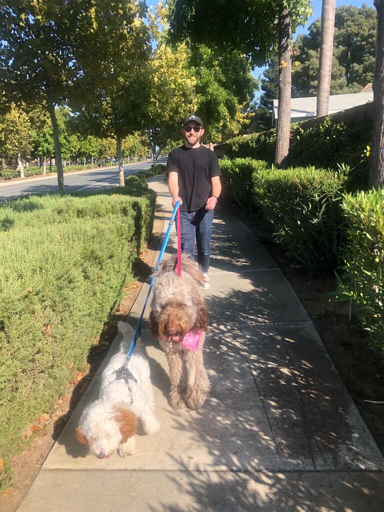 Doodle time - 

Caleb & Cassie both owned double doodles before they started dating, so they were obviously meant to be. Time together included lots of walks & playtime with "the doods."