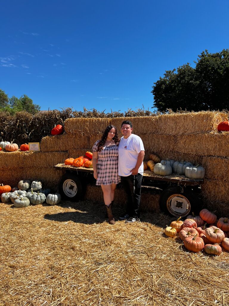 Pumpkin Patch