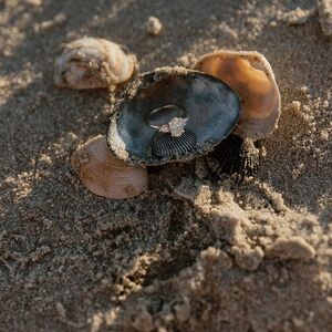 Gallery Photo 23