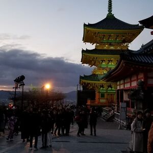 Gallery Photo 14