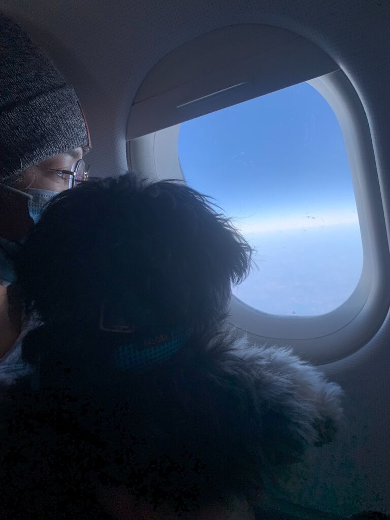 First flight to Iowa to meet Kenzie's family; Mylo's first (and last) time on a plane
