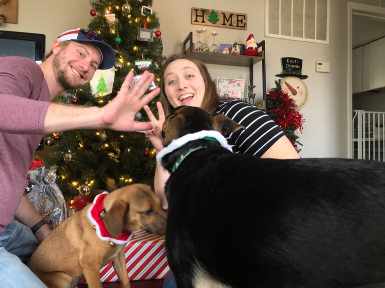 Christmas chaos with two dogs