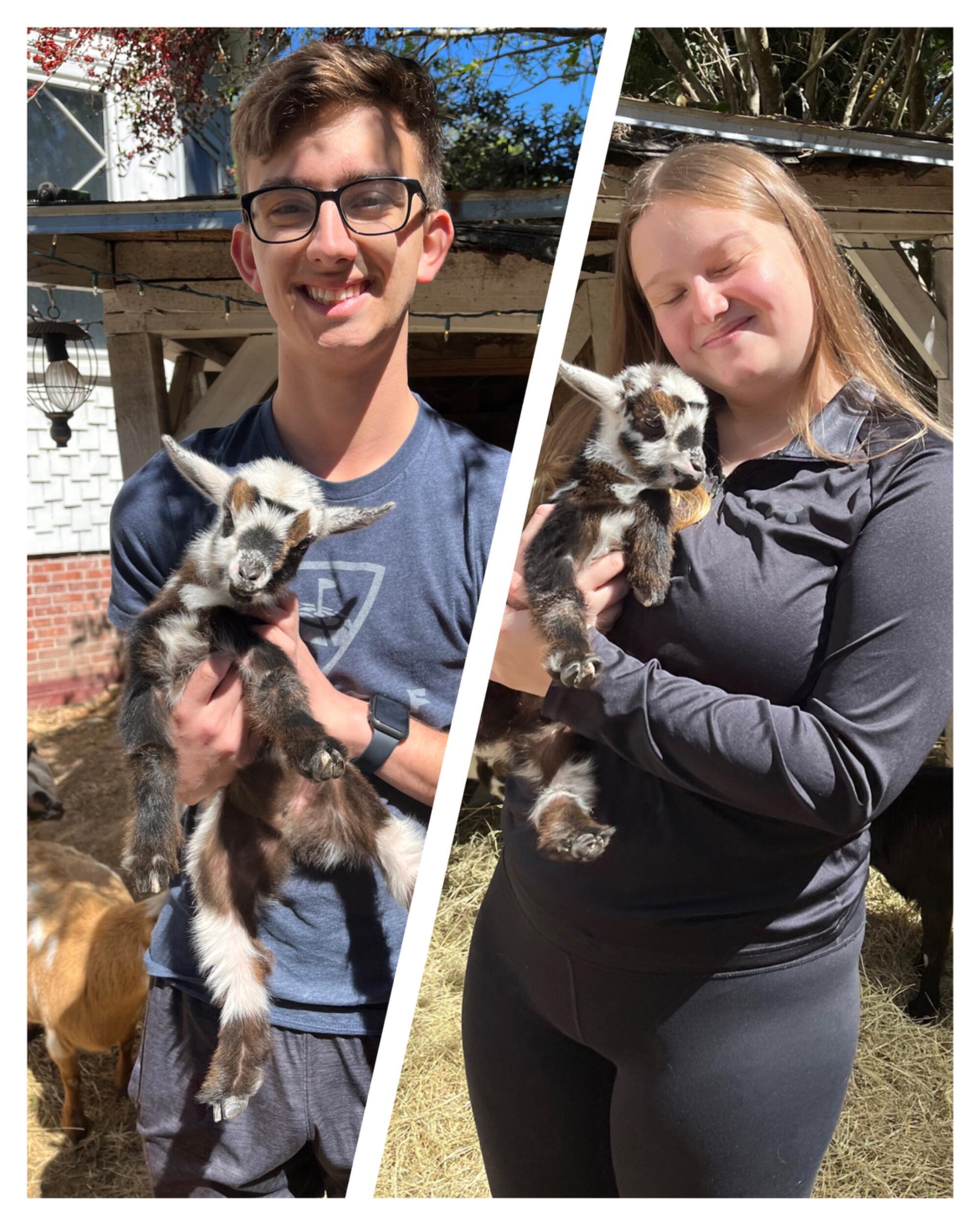 A visit while being long distance, we did some yoga with goats! 