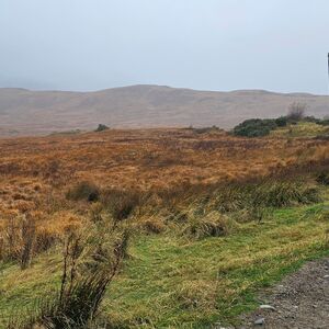 Gallery Photo 209