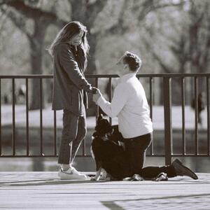 Gallery Photo 23