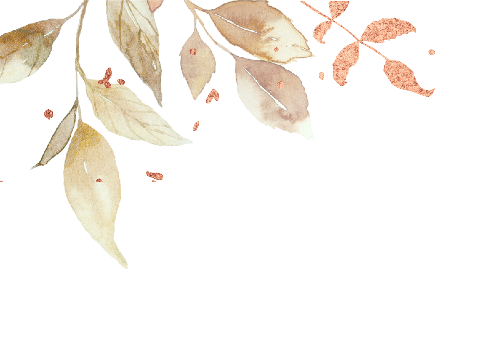 Top Theme Image