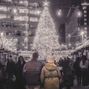 Gallery Photo 49