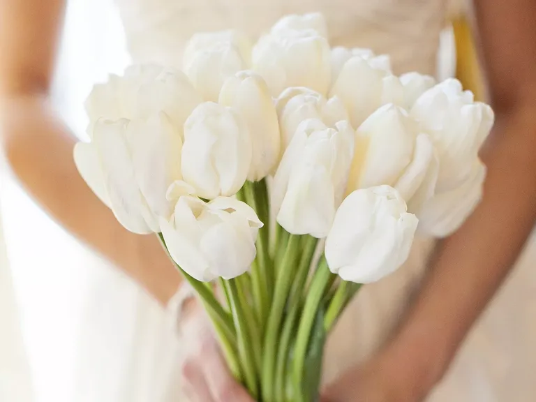 Stunning and Simple Tulip Wedding Bouquet