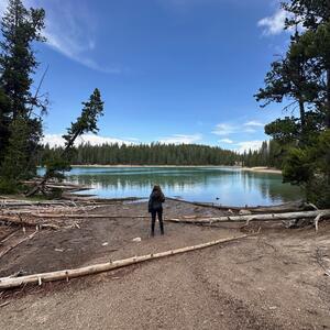 Gallery Photo 147