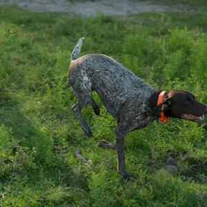 Gallery Photo 22