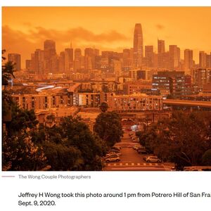 Gallery Photo 32