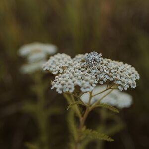 Gallery Photo 19