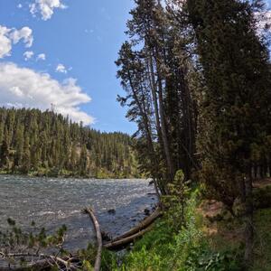 Gallery Photo 64