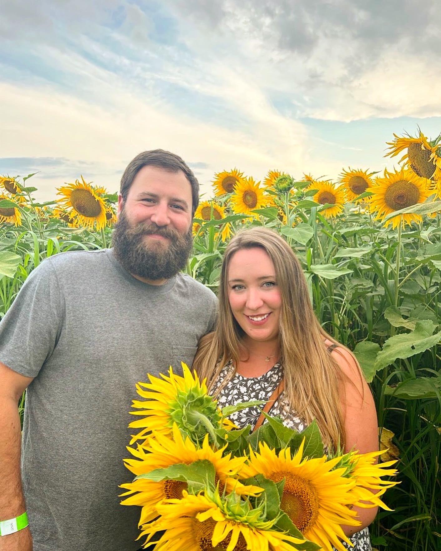 Sunflower maze