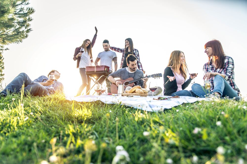 park picnic birthday