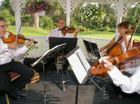 Premier String Quartet - String Quartet - Bethesda, MD - Hero Gallery 3