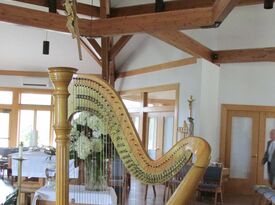 Teresa Tafuri - Harpist - North Kingstown, RI - Hero Gallery 3