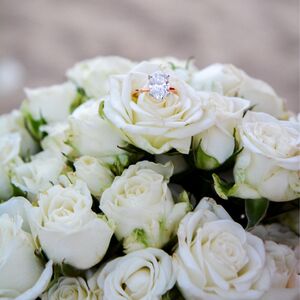 Gallery Photo 23