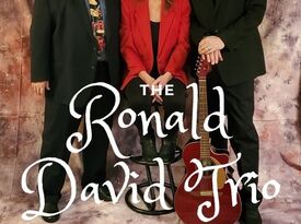 The Ronald David Trio - Oldies Band - Hammond, IN - Hero Gallery 1