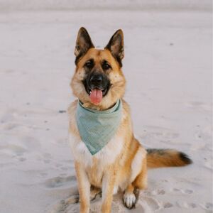 Gallery Photo 25