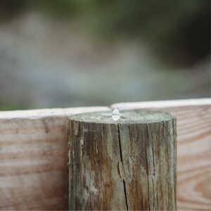 Gallery Photo 11