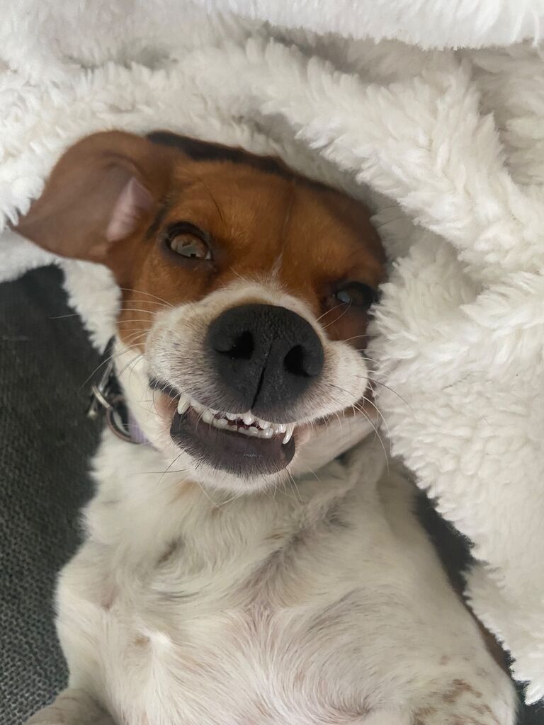 All smiles! I don't know what "being married" means but if it means I get to stay here forever and mommy and daddy are here, I am happy!