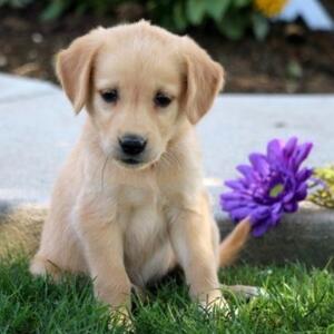 Gallery Photo 20