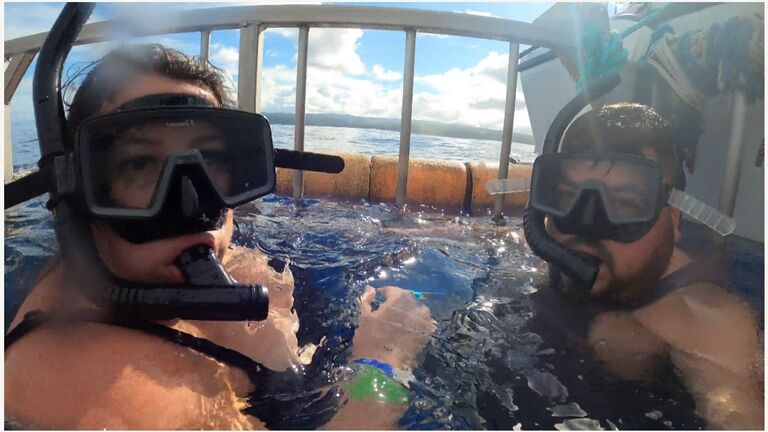 Hawaii Shark Encounters - Haleiwa, HI