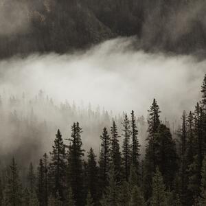 Gallery Photo 10