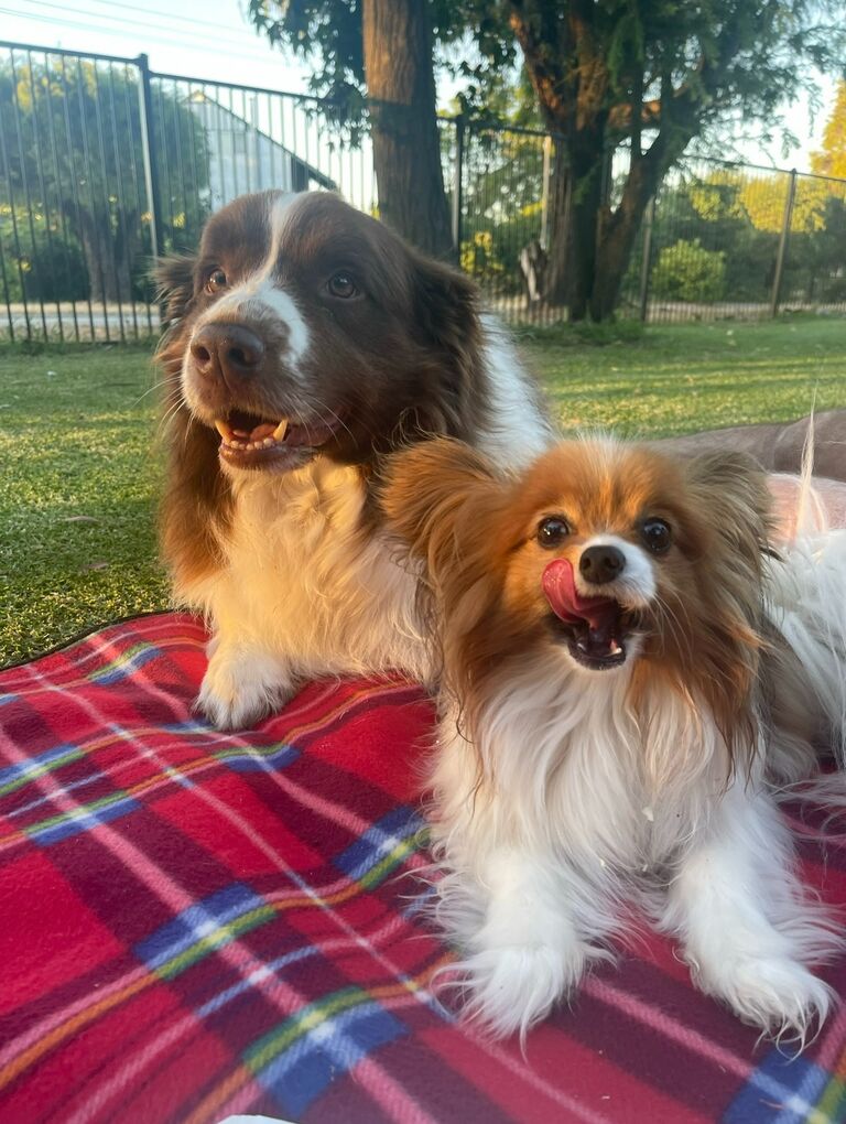 Right before we moved into our very first rental home, we bought our first dog together, Maisy. Not long after, we bought our second dog together, Freddy. At 18, we finally felt like a little family, living together with our dogs.
