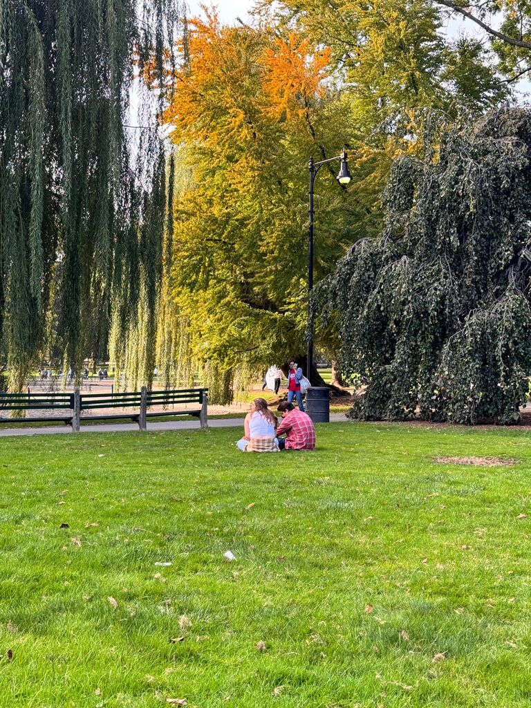 The day Justin proposed in the Boston Public Gardens 