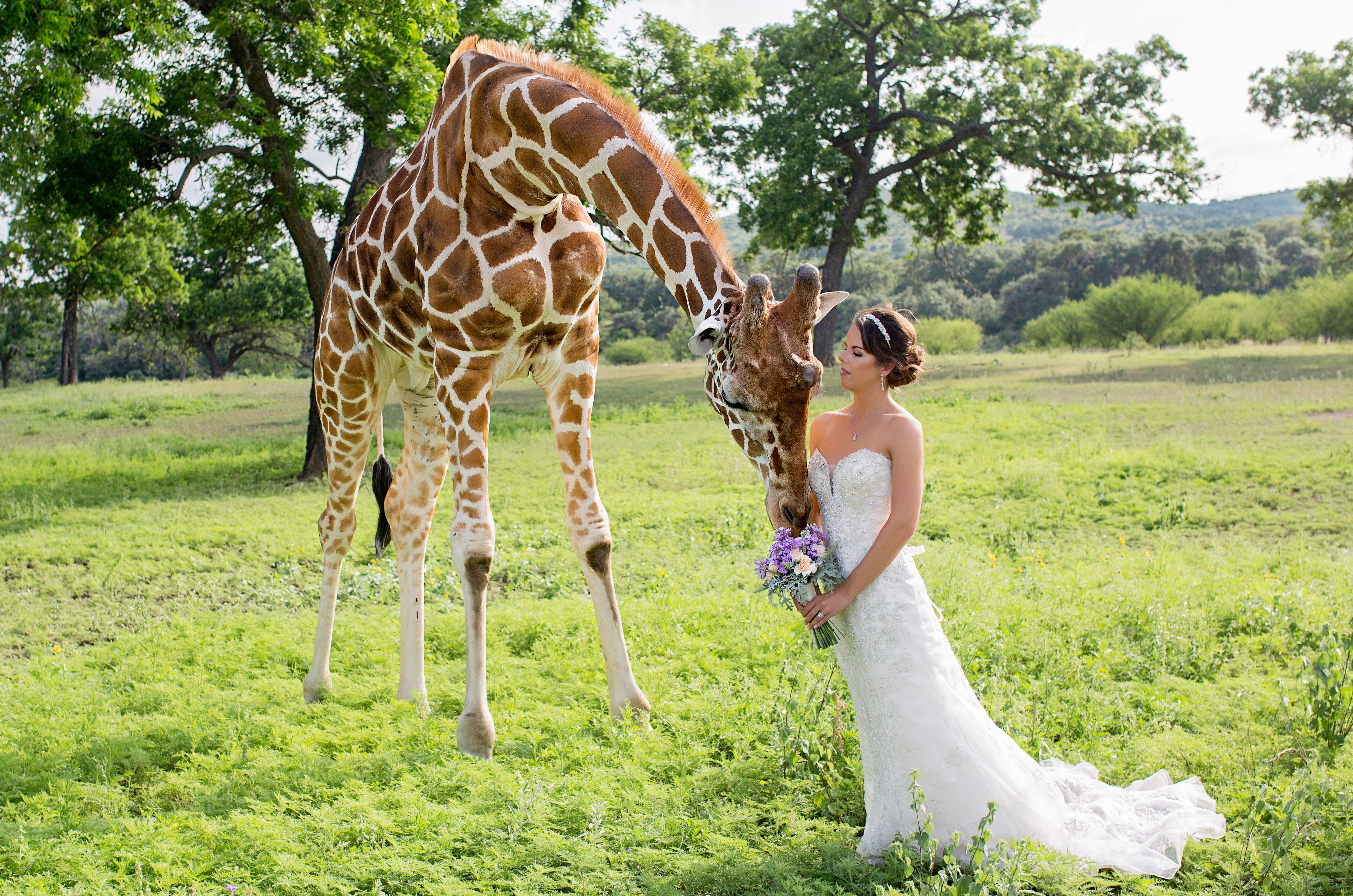 The Ox Ranch + Updated Prices - The Knot