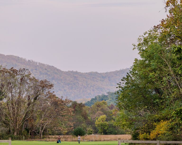 Bold Rock Cidery & Taproom

Nelson County, Virginia