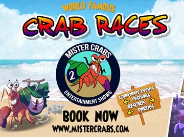 Crab Racing by Mister Crabs & Family Entertainment - Reptile Show - Orlando, FL - Hero Main