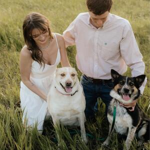 Gallery Photo 7