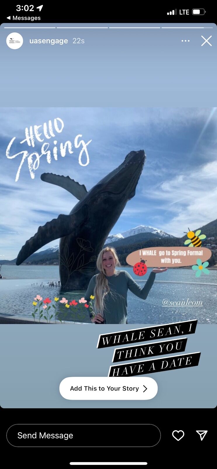 A few whale puns later and .....
