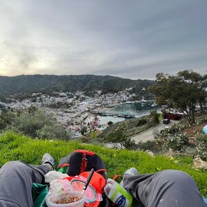 Gallery Photo 34
