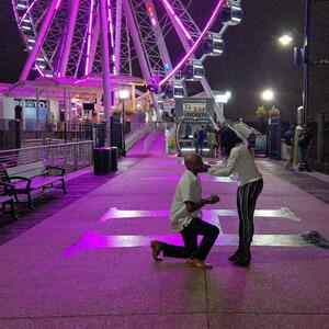 Gallery Photo 53