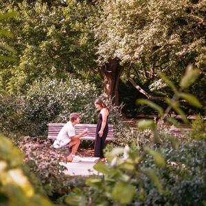 Gallery Photo 26