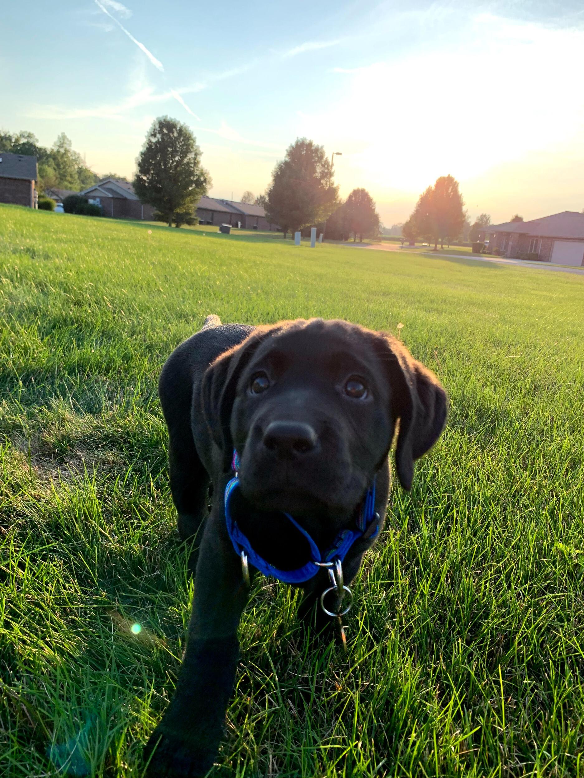 The day we brought home our baby, Tilly J!