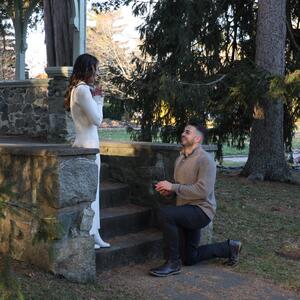 Gallery Photo 23