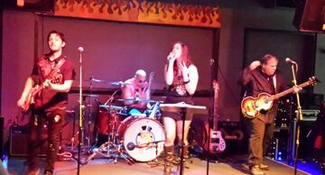 The Road Dawgs - Classic Rock Band - Ashland, MA - Hero Main