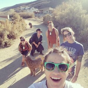 Gallery Photo 59