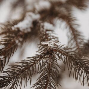 Gallery Photo 21