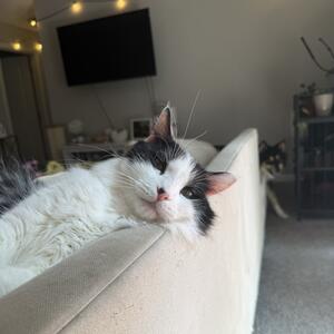 Gallery Photo 25