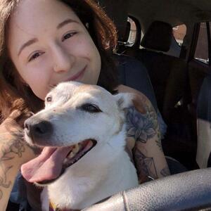 Gallery Photo 139